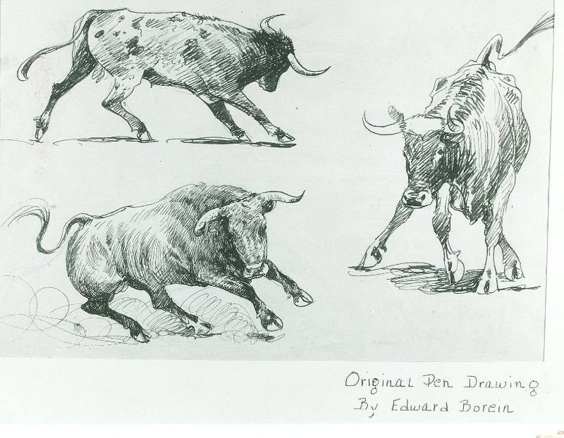 Untitled (3 Sketches of Longhorn Steer)