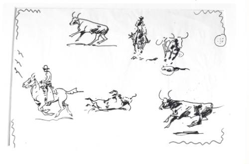 Untitled (Sketches of 4 Steer and Riders)