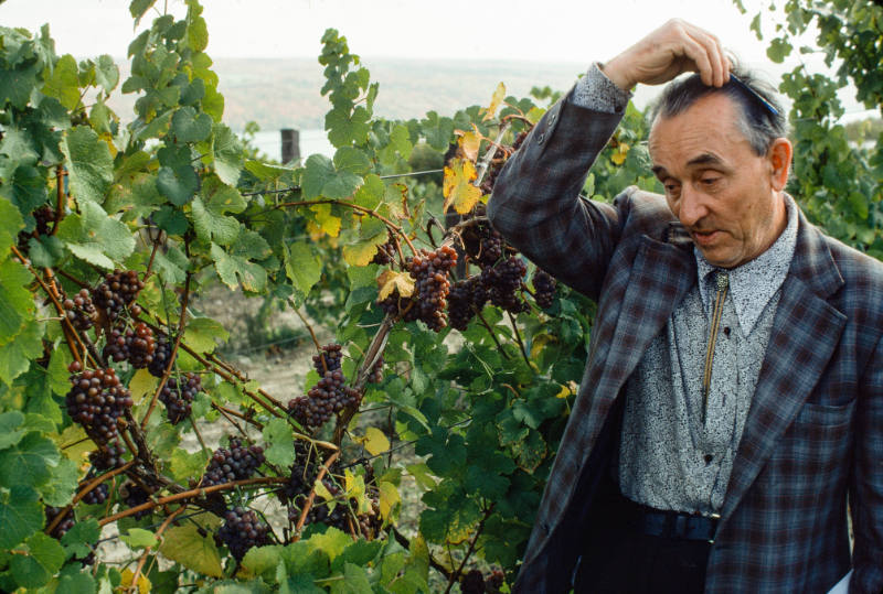 Dr. Konstantin Frank, Vinifera Vineyards, Hammondsport, NY