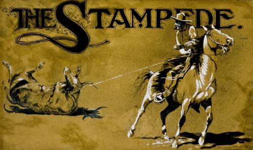 The Stampede