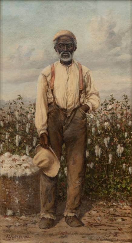 Cotton Picker