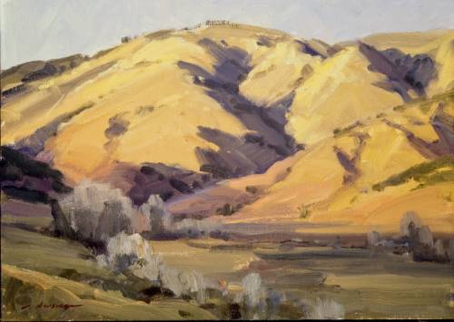 Foothills, Colorado (study)