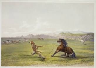 No. 4 "Catching the Wild Horse" from Catlin's North American Indian Portfolio