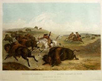 Indians Hunting the Bison